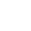 Zoom Icon